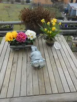 DSCN2134.webp