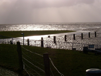 image019.webp
