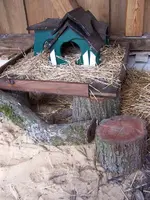 Landturm 2 innen 1_576x768.webp