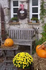 Deko Kürbis toll_512x768.webp