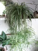 DSCF2115.webp