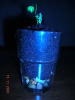 011.webp