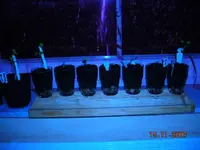 012.webp