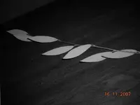 161107013.webp