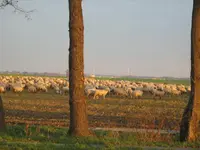 IMG_0658_1.webp