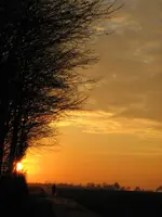 IMG_0666_1.webp