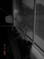171107012.webp
