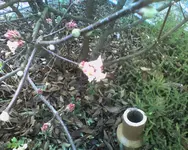 Photo-0134.webp