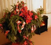 Advent-ROT.webp