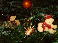 IMG00023.webp