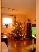 PICT2506.webp