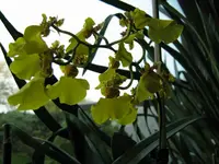 IMG_0707_1.webp