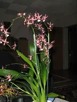 IMG_0716_1.webp