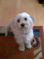 Bild001.webp