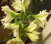 jpg01.webp