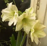 jpg02.webp
