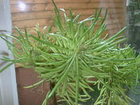 PICT0002.webp