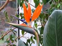 k-Bild 154.webp