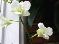 k-Bild 163.webp