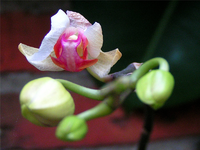 k-Bild 167.webp