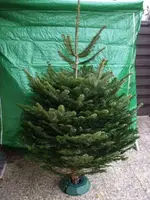 DSCF0724.webp