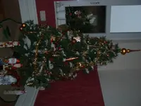 Baum 07.webp