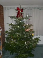 CIMG0001 (2).webp