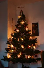 Weihnachtsbaum.webp
