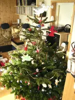 BILD0046.webp