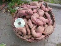 PICT0110.webp