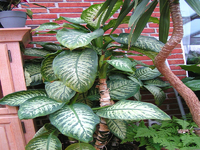 k-Bild 171.webp