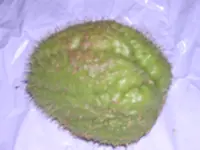 DSCN2271.webp