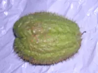 DSCN2272.webp