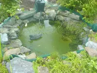 DSC00132.webp