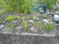 DSC00124.webp