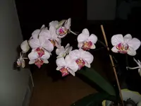0 6.webp