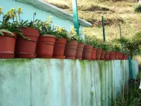 madeira.webp