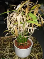 IMG_0830_1.webp