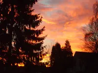 ontario 002.webp ontario 002.webp