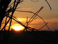 IMG_0840_1.webp