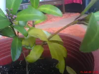 DSC00229.webp