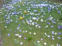 märz 07 065.webp