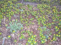 winter 07 006.webp
