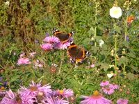 sept.07 016.webp