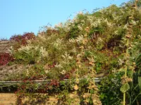 sept.07 027.webp