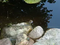 sept.07 007.webp