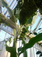 DSC00009.webp