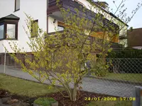 Test 183.webp