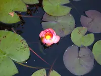 sept.07 028.webp
