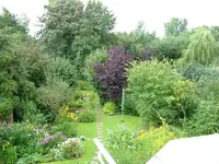 garten 3.webp